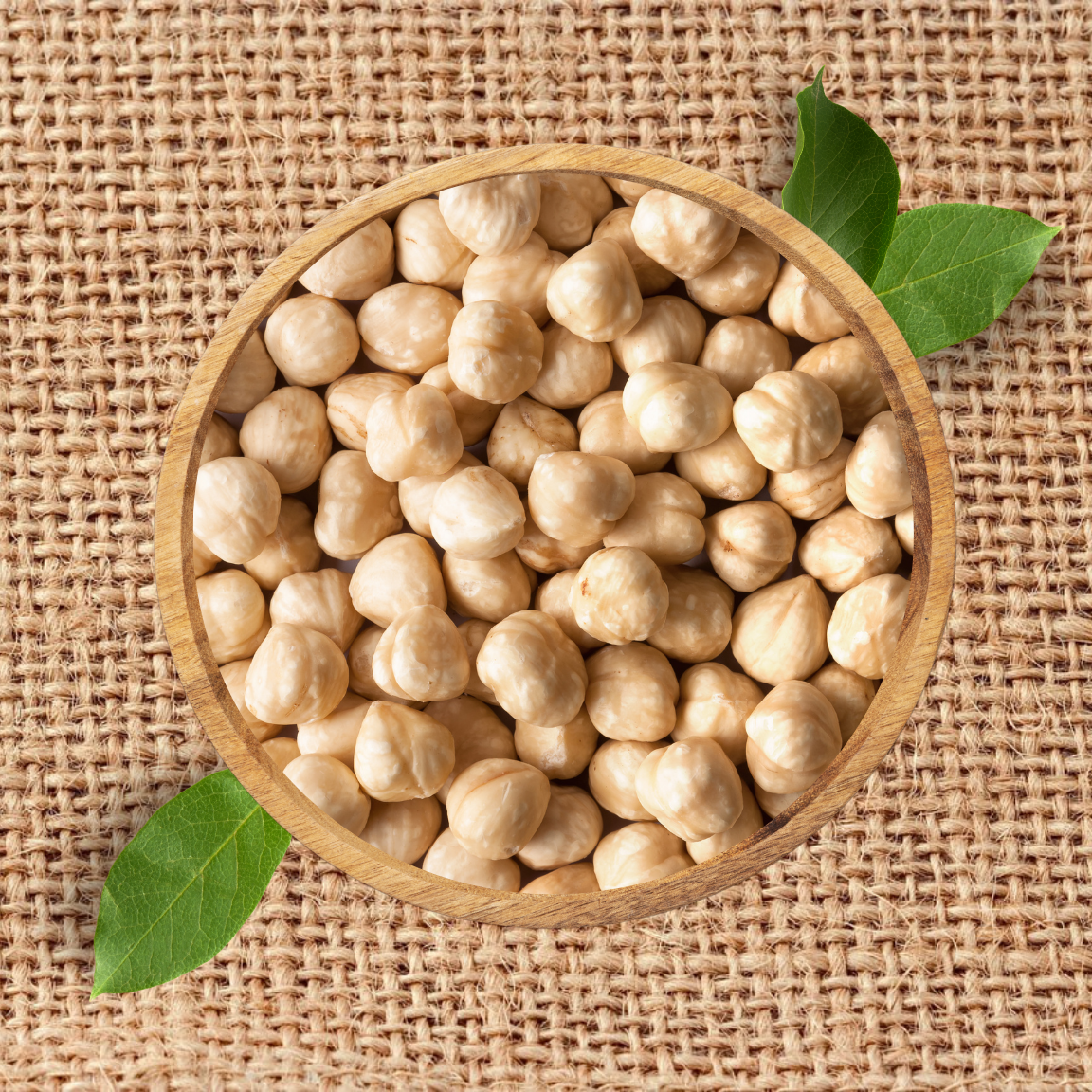 16 Hazelnuts – Bild 1