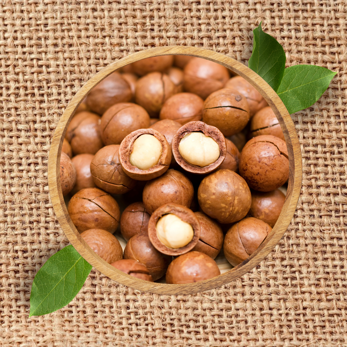 83 Macadamia – Bild 1